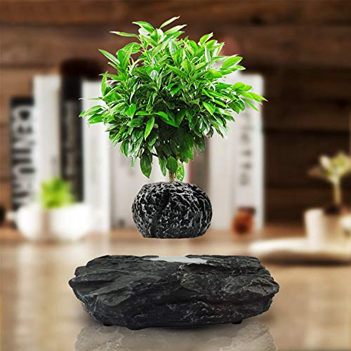 ZHHID PflanztöPfe Anzucht- Levitation Schwebender Blumentopf - Zimmerpflanzen - Kreative Design Levitation Bonsai - Home Office Dekorationen - Fun Geschenk,Black