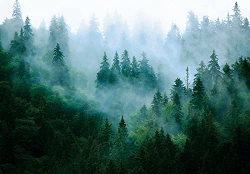 WallArena - Vlies Fototapete Wald im Nebel Natur Grün Landschaft Bäume 368x254 cm - Fototapeten - Tapeten - für Wohnzimmer Schlafzimmer - Vliestapete Wandtapete Tapete 3D Effekt- inkl. Kleister