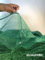 20 x Green Net Woven SacksBESTVALUETHINGS Vegetables Logs Kindling Wood Log Mesh Bags 50x65 cm 30 kg