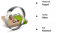 3 Stück 2240 mm Holzbandsägeblatt für Scheppach HBS 300 Sägeband Bandsägeblätter Holzbandsägeblätter Sägeblätter (2240 x 15 x 0,50 x 6 mm)