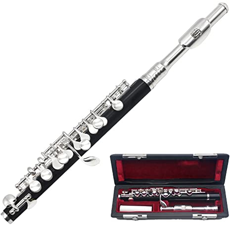 HDYNUZ Professionelle C Key Piccolo Halbgröße Flöte ABS Piccolo mit Reinigungsstab Aufbewahrungskoffer Schraubendreher Holzblasinstrumente