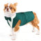 Hund Kleidung Tuxedo, Haustier Mantel Formale Hochzeit Verkleidungen & Kostüme für Hunde Chihuahua Kostüm Formelles Hunde-Smoking(Dunkelgrün, S)
