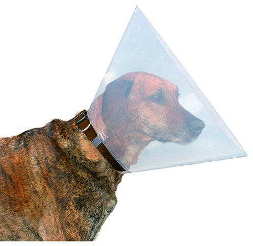 Beeztees 796003 Hundekragen aus Plastik, 31-38 x 15 cm