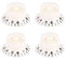 VBESTLIFE 4 STÜCKE E-Gitarre Speed Tone Lautstärkeregler für EPI LP E-Gitarre 3 Stil zu wählen(Weiß mit schwarzem Wort) Guitar Speed Knobs White Leistungszubehör
