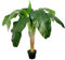 Bananenpalme 1,20 m Kunstbaum Kunstpalme Bananenbaum - McPalms