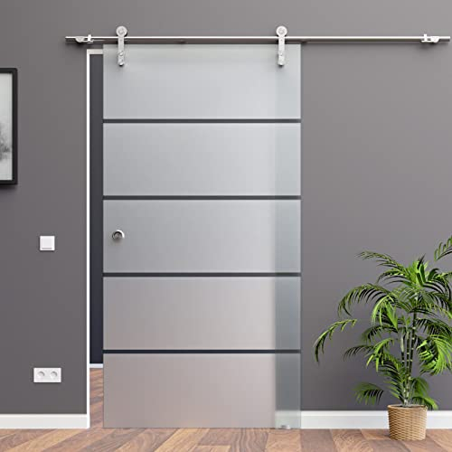 BP1-900RA-2: Schiebetürsystem ESG 900x2175x8mm Dekor P1, Siebdruck, rechts; Edelstahl Laufrollensystem SoftStop; Griffmuschel
