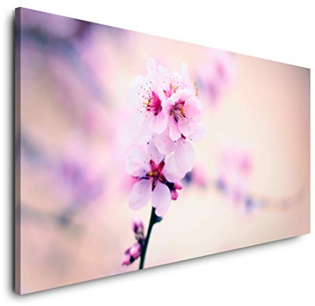 pinke Blumen 120x 60cm Panorama Leinwand Bild XXL Format Wandbilder Wohnzimmer Wohnung Deko Kunstdrucke