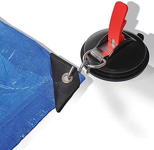Cartrend 10262 Fissaggio a Ventosa per Caravan. 10 kg con Anello e 2 Ganci a S
