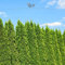 Gardline - Lebensbaum Thuja Smaragd 120-140cm. 3-200 Heckenpflanzen. Blickdichte Thujahecke - 12 St. (ca. 4,5 Meter)