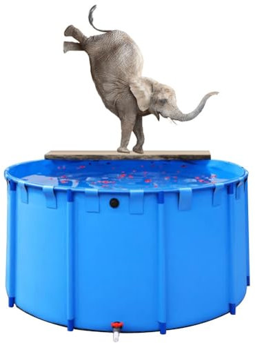 Runder Koiteich-Schautank, Fischteichbecken Aus Segeltuch, Oberirdischer Teich, PVC-Material – Gürtelrahmen – Aquarium – Vorübergehende Verwendung(1.2x0.8m/900L)