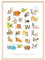 kizibi® ABC Poster DIN A2 mit Rahmen Natur für Kinderzimmer, Alphabet Poster für Mädchen und Jungen, Buchstaben zum Lernen, Tier Lernposter mit Buchstaben auf deutsch | Vorschule oder Grundschule