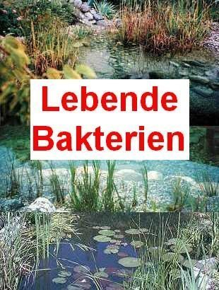 5 x 100 g lebende Bakterien für Gartenteich, gegen Schlamm