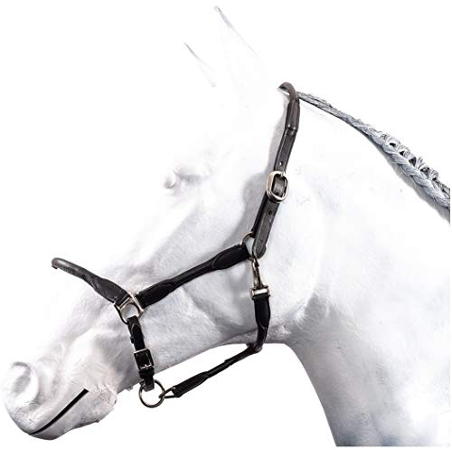 HKM by Reiterladen24 - Halfter Leder rundgenäht BASICLINE schwarz Vollblut