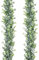 DearHouse Künstliche Eukalyptus-Girlande, 2 Stück, künstliche Ranken, hängende Eukalyptusblätter, grüne Girlande für Hochzeitshintergrund, Bogen, Wanddekoration, UV-geschützt, für drinnen und draußen