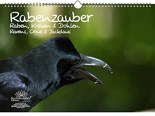 Rabenzauber Raben, Krähen und Dohlen DIN A3 Kalender - Immerwährender Kalender - Seelenzauber