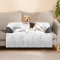 blunique Hundebett für Sofa Hundedecke Sofaschutz Hund Waschbar rutschfest Wasserdicht Kleine Hunde, Grau M