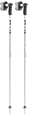 LEKI Detect S Lightweight Aluminum Ski Poles for Downhill Skiing - Black-Gray - 110 cm