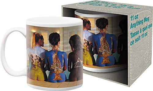 AQUARIUS Pink Floyd Back Art 11 oz Boxed Ceramic Mug