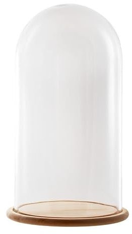 Fanal aus transparentem Glas mit Holzsockel, 26 x 26 x 45 cm