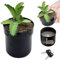 Pasdrucn Safe in Form eines Blumentopfs, Schließbar versteckte Blumenkiste, Creative Flower Pot Stash Box, Geheimversteck Geld, Schlüssel und andere Wertsachen (Schwarz)