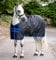 Horseware Amigo Ripstop 900D Lite 0g Turnout Decke Black/Classic Blue Deckengröße:125 cm / 5´9