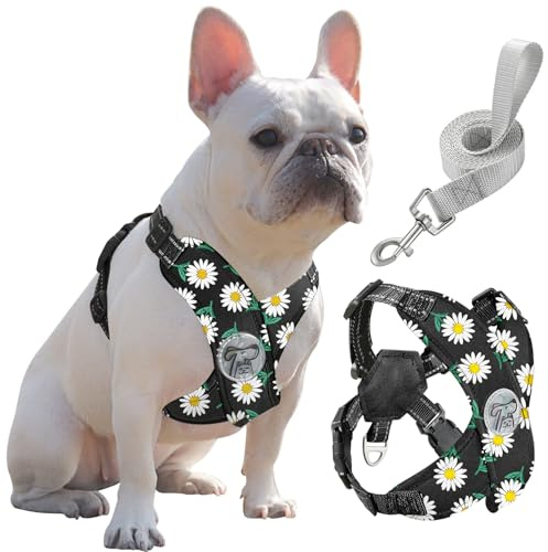 Pawaboo Puppy Harness and Lead Sets, Small Dog Harness X-Frame No Pull No Choke, Dog Vest Harness Adjustable for Small Medium Sized Dogs, Soft Breathable Pet Harness Walking Outing, L, Black Daisy