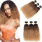 ELEE'S HAIR Echthaar Lockenbündel Kinkys Lockenbündel Ombre Locken Menschliche Haarwebart 3 Bündel 1b / 30/27 (10 12 14)