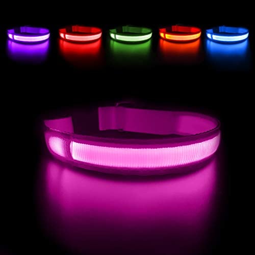 MASBRILL Hundehalsband Leuchtend Aufladbar, LED Leuchthalsband Wasserdicht für Kleine Mittlere Große Hunde Einstellbar Blinklicht Sicherheit Halsband mit 3 Beleuchtungsmodi, Rosa - M