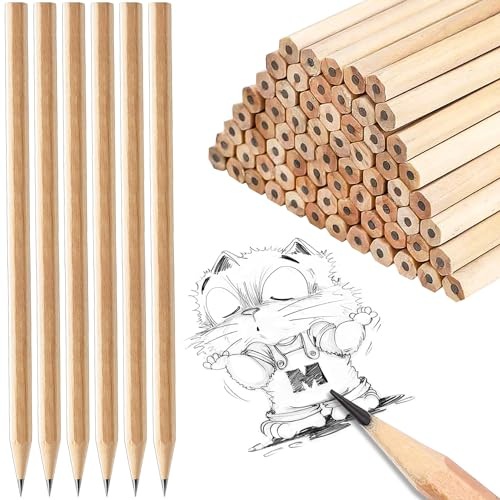 Rdlobu 60 Stück Bleistifte Set, Holz Bleistift HB, Bleistifte für Kinder, Schüler, Lehrer, Büro, Schulmaterial, Zeichnen, Schreiben
