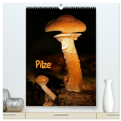 Pilze (hochwertiger Premium Wandkalender 2026 DIN A2 hoch), Kunstdruck in Hochglanz: Herbstliche Bewohner unserer Wälder (CALVENDO Natur)