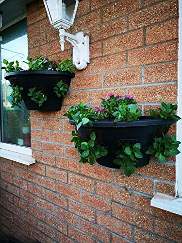 Plantopia 1 x Easy Fill Wall Mount Hanging Basket/Planter, Black 20, FREE Express Delivery
