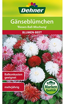 Dehner Blumen-Saatgut, Gänseblümchen Riesen-Ball-Mischung, 5er Pack (5 x 0.5 g)