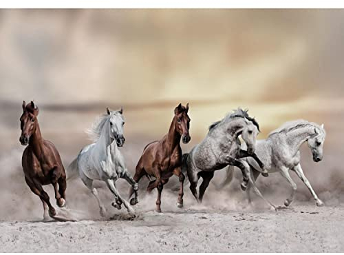 Runa Art Fototapete Pferde Wüste Modern Vlies Wohnzimmer Schlafzimmer - Made in Germany - 308 x 220 cm Braun Grau 9335010a