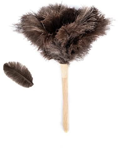 Plumero de Plumas de Avestruz, para Limpiar Plumas, Plumero de Plumas de Avestruz Naturales esponjosas con Mango de Madera y Plumero de Plumas (Longitud 40 cm)