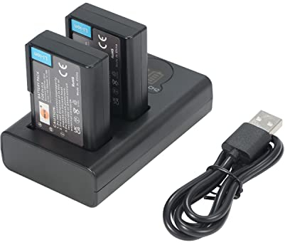 DSTE (2 Pack) EN-EL9 ENEL9 EN-EL9A Replacement Battery + Dual USB Charger with LCD Display Compatible with Nikon D40 D40x D60 D3000 D5000 Digital Camera