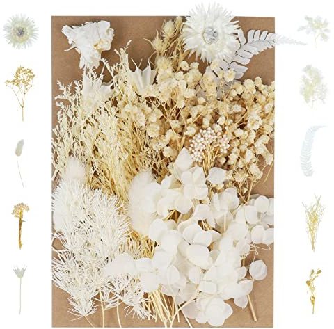 Pinenuts Real Dried Pressed Flowers,Mixed Multiple Natural Flowers Leaves | Floral Art Home Decoration for DIY Resin Pendant, Candle Making and Nail Jewelry Crafts(White)