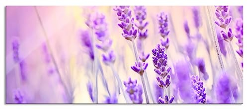 Pixxprint Glasbild Panorama, Wandbild aus Echtglas, Lavendel im Retro Look, 100x40 cm, inkl. Aufhängung und Abstandshalter