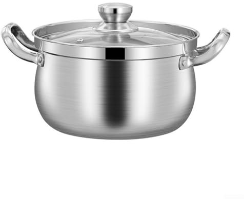 Pentola in acciaio inox con coperchio in vetro, 24 cm, compatibile con induzione, design senza troppopieno