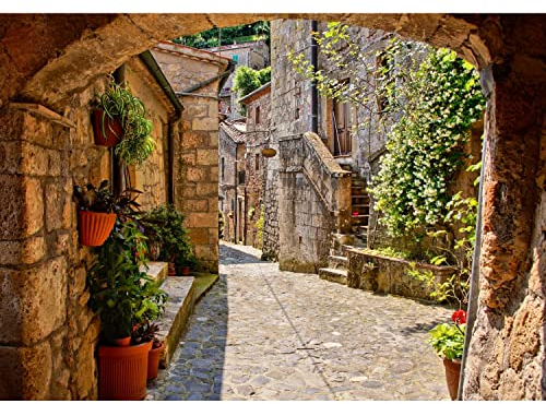 Runa Art Fototapete Italien Gasse 352 x 250 cm Vlies Tapeten XXL Moderne Wandtapete Wohnzimmer Schlafzimmer Braun 9221011a
