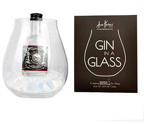 GIN IN A GLASS Gift Set: Premium Riedel Stemless Gin Glass, 1 x 5cl Lyme Bay Winter Gin Mini 40% abv, Reusable Ice Cubes, Gift Box ideal for Gin lovers tumbler