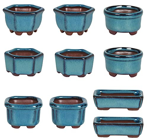 Lot de 10 mini pots de fleurs pour bonsaï 4,5 cm