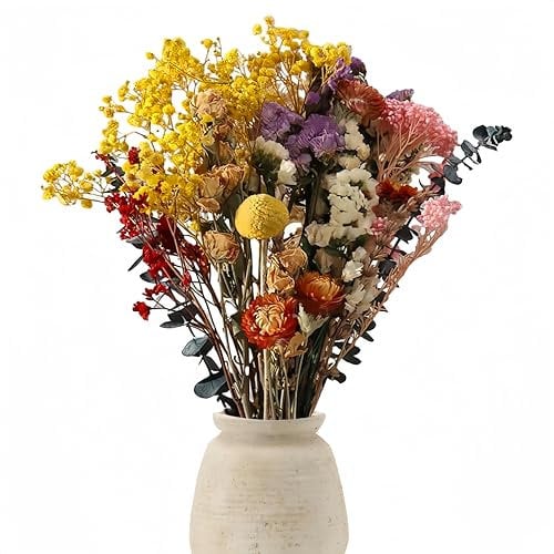 Frogetu 30PCS Flores Secas Preservadas Naturales,Flores Secas Decorativas,Flores Secas Mezcladas,Decoracion Mesa Comedor,Ramo Flores Secas,Flores Secas Naturales,Flores Secas Decoracion,Bodas,Hogar