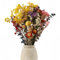 Frogetu 30PCS Fleur Sechees,Fleurs Séchées Bouquet,Bouquet de Fleurs Séchées,Herbe de la Pampa,Fleur Séchée,Pampas,Fleur Sechee,Fleurs Sechees Naturelles,Décoration Table,Décoration Maison Salon