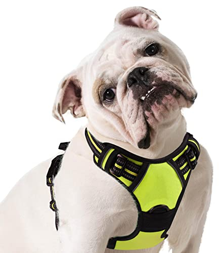 Eagloo Hundegeschirr mittelgroße Hunde, Anti Zug Hundegeschirr mit Reflexstreifen und Kontrolle, Verstellbar, Einstellbar und Langlebige Brustgeschirr Hund, Geeignet zum Gehen und Joggen, Grün, M