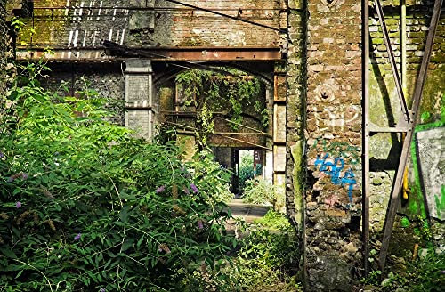 hansepuzzle 64222 - Lost Places Puzzle 500 Teile | Natur Puzzle mit hochwertiger Puzzle Aufbewahrung: Kartonbox und wiederverschließbarem Beutel | Puzzle-Maße: 46 x 30 cm