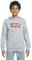 Levi's Kids batwing screenprint hoodie Jungen Grey Heather 8 Jahre