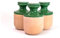 3 oyas à enterrer de 500 ml en couleur avec leur couvercle - ollas pour arroser tous type de plante d'intérieur et extérieur (Vert)