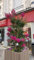 Lagerstroemia indica 'Rosea' / Lilas des Indes à fleurs roses/Conteneur de 7 à 10 litres