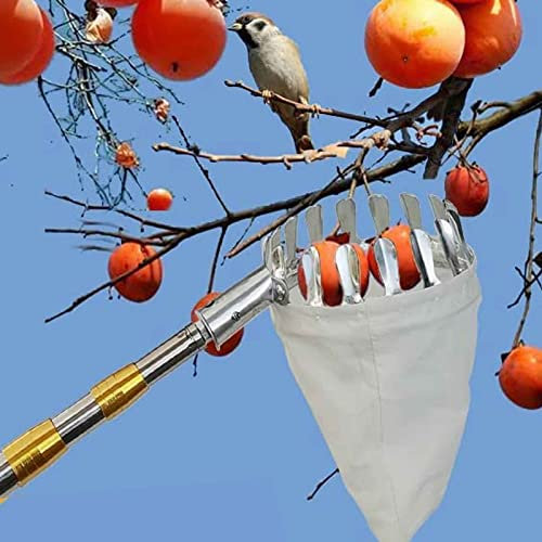 LekLai Obstpflücker, Pflaumen-Obstpflücker Mit Teleskopstiel, Apfelpflücker-Oberteil, Metall-Bremssattelzähnen, Starke Tragfähigkeit/10M(32.8Ft)