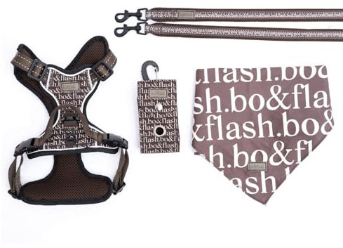 bo&flash Hundegeschirr Set Boston mit robuster Leine – Bequemes Brustgeschirr für unterwegs – 4 tlgs. Atmungsaktives Zuggeschirr mit charmantem Halstuch für mittelgroße Hunde – Taupe – M